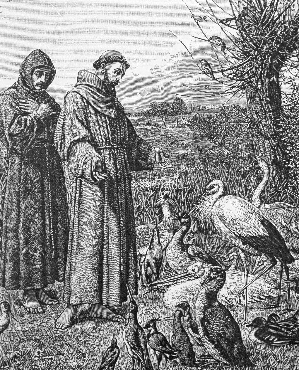 St. Frans av Assisi (1182-1226) av English School