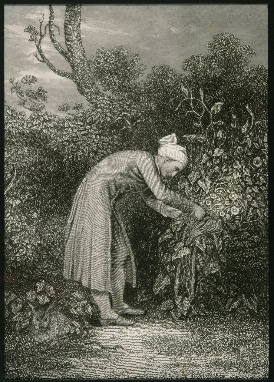 William Cowper (1731–1800) av English School