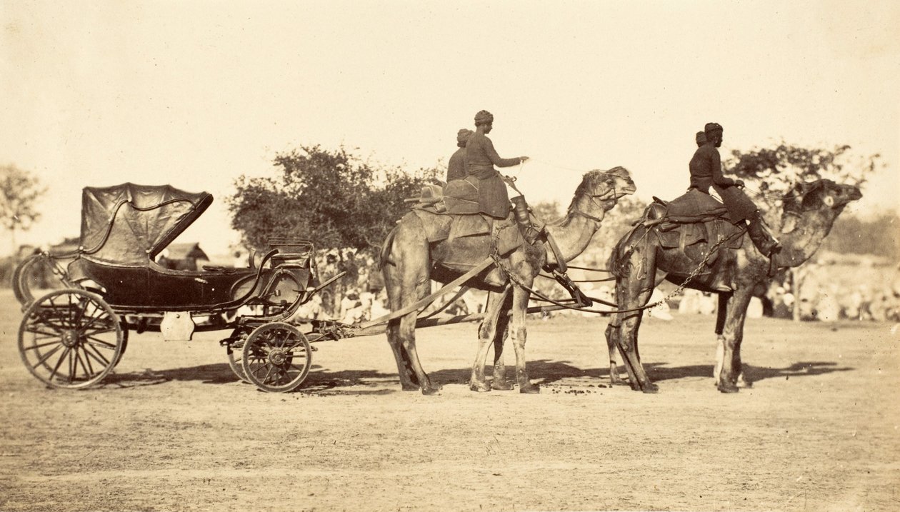 Kamelvogn, ca. 1860 (fotogravyr) av English Photographer