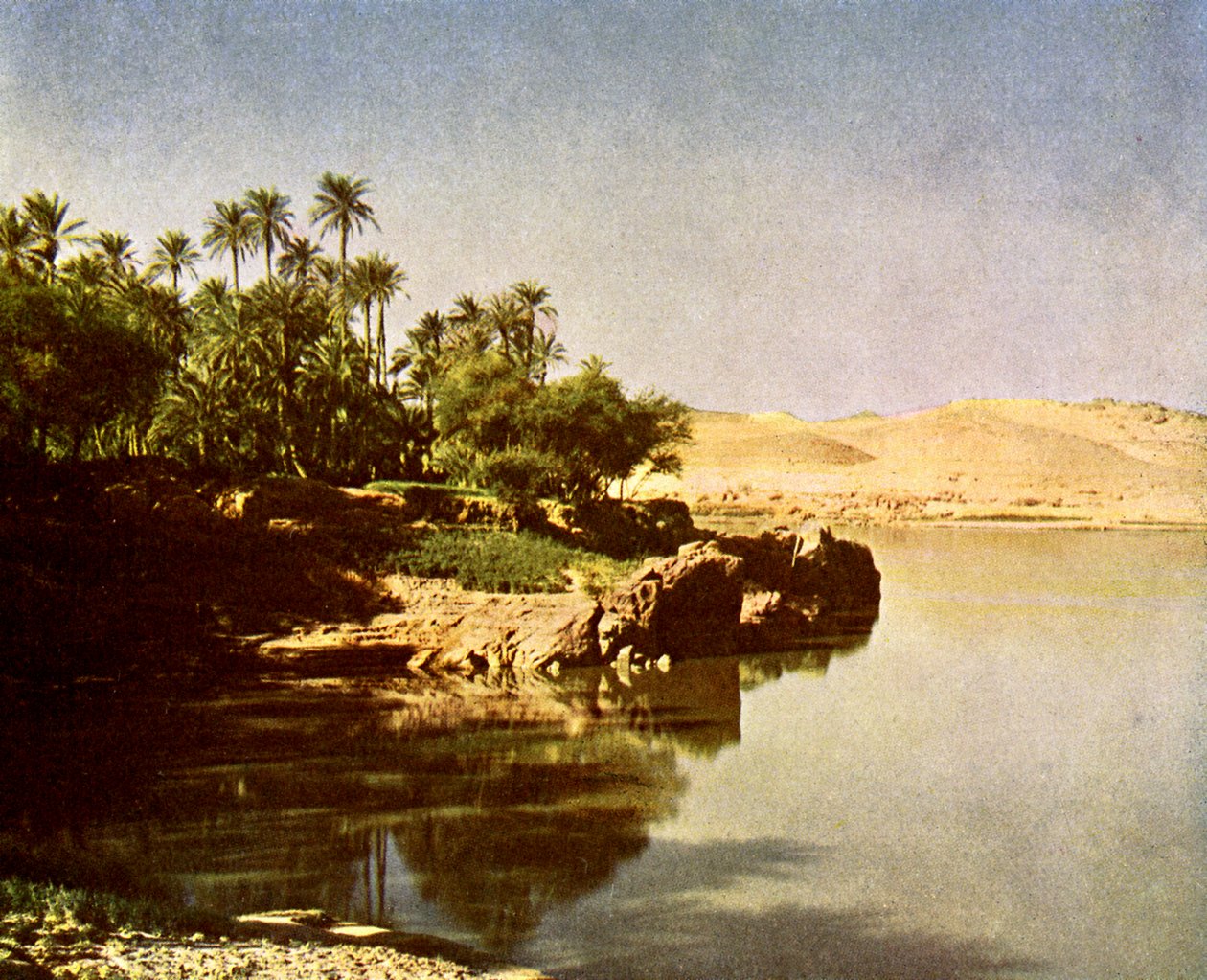 Elephantine av English Photographer