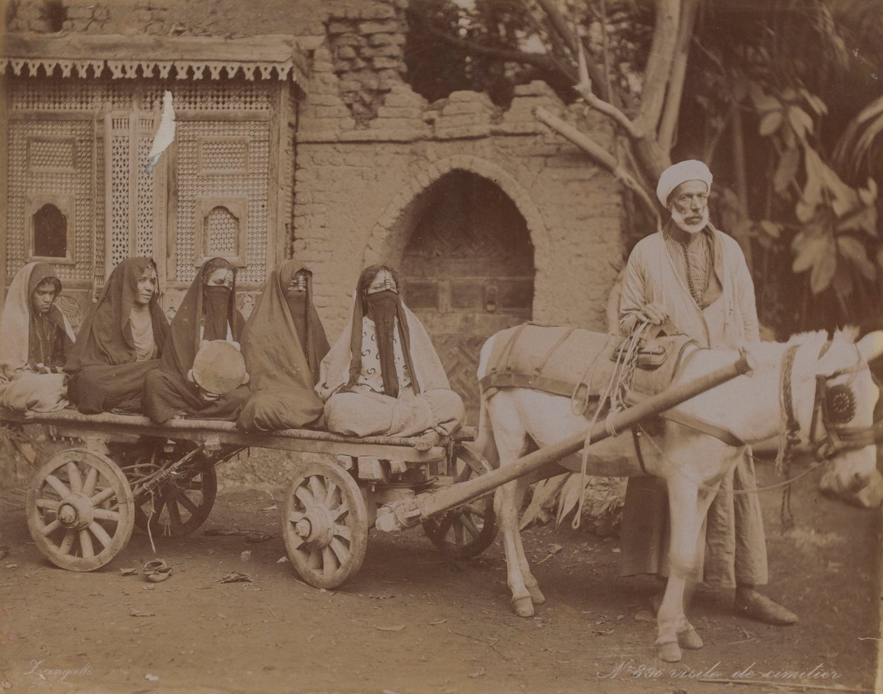 Hestetegnet vogn, Kairo, 1893 av English Photographer