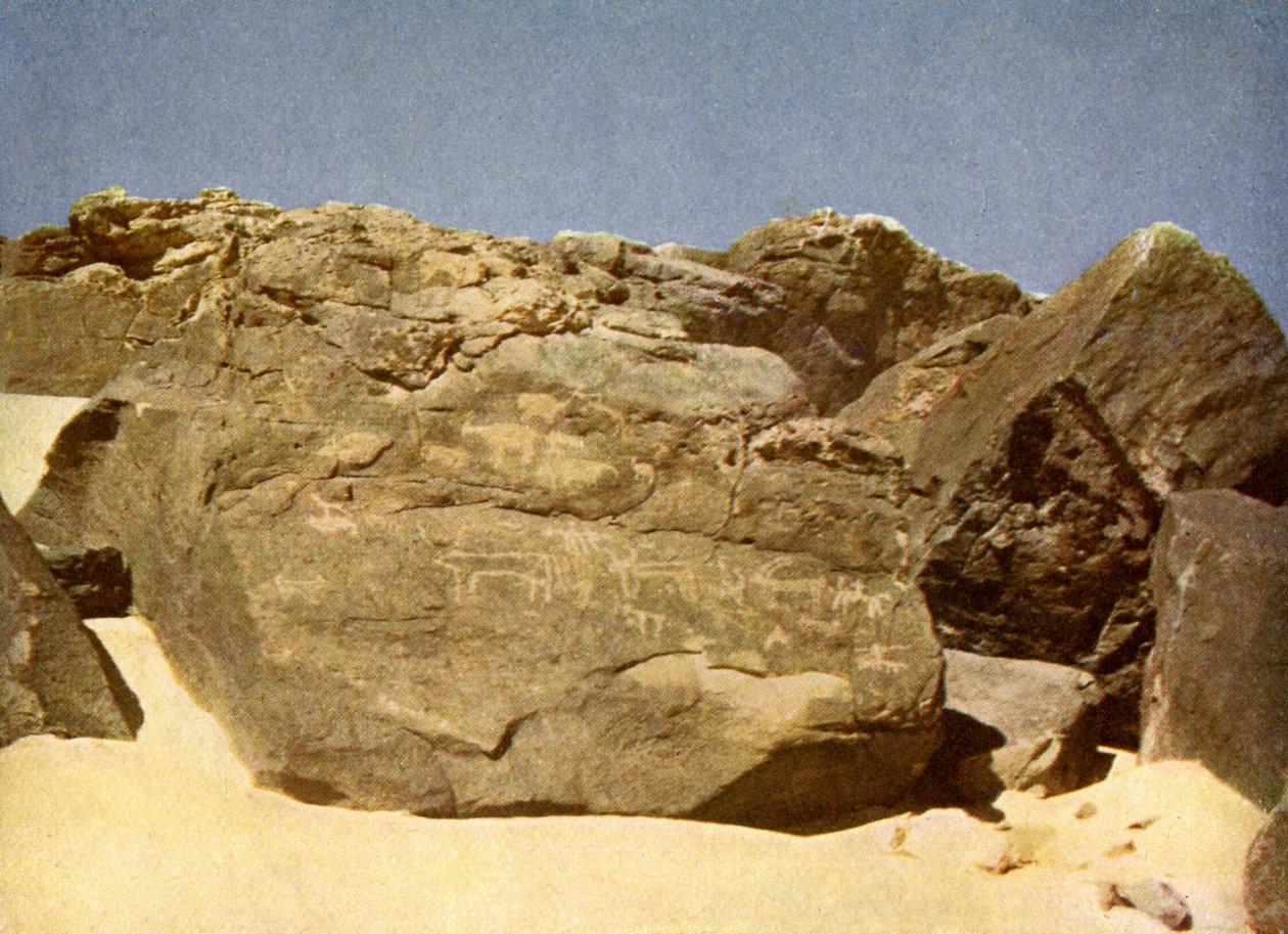Steinbærende forhistoriske heiroglyfer, Egypt. av English Photographer