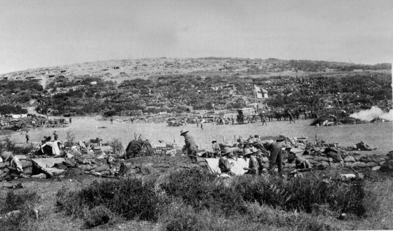 Suvla Bay, Gallipoli ved Chocolate Hill, ca. 1915 av English Photographer