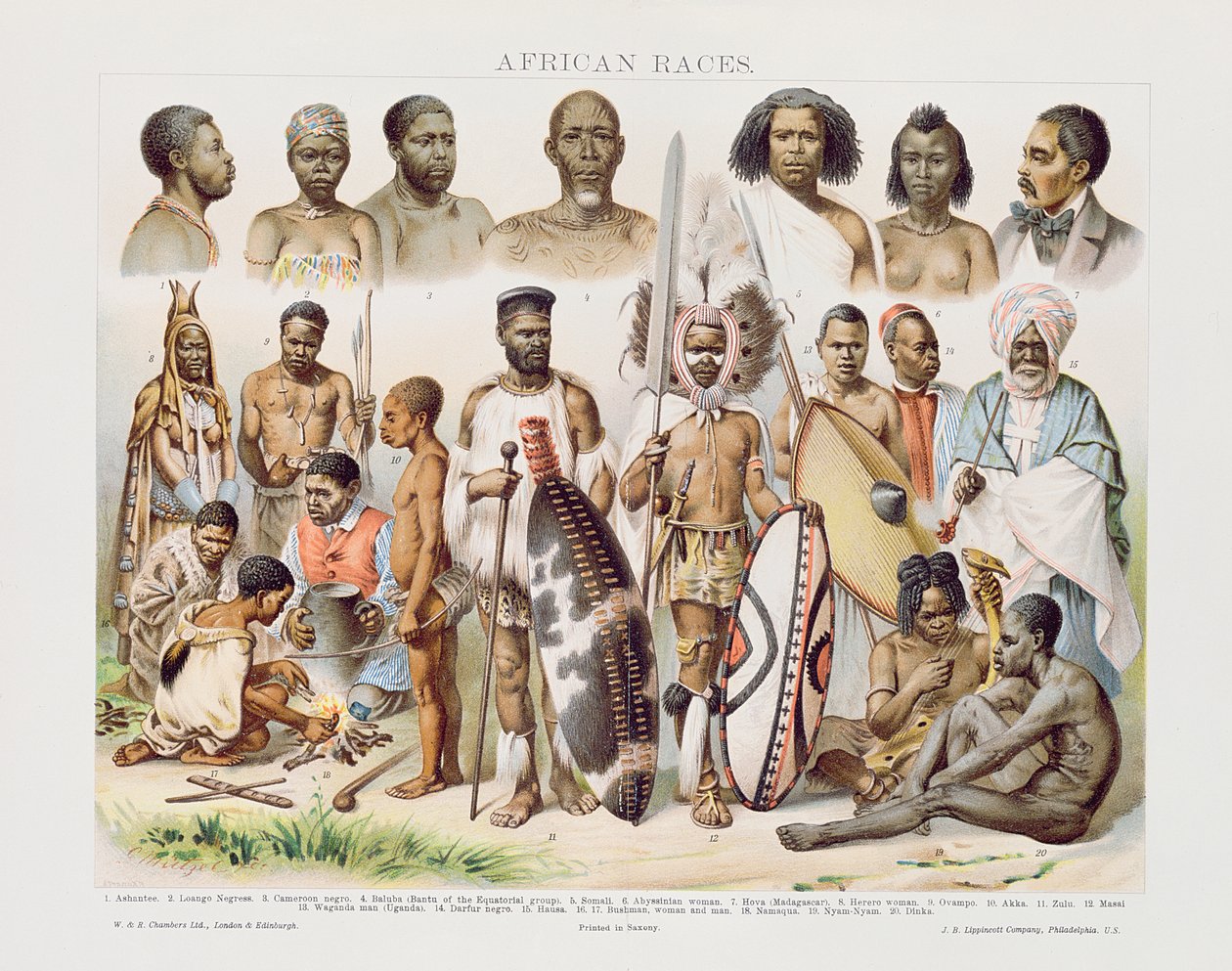 African Races (fargegravering) av English School