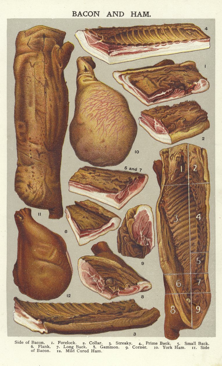 Bacon og skinke av English School