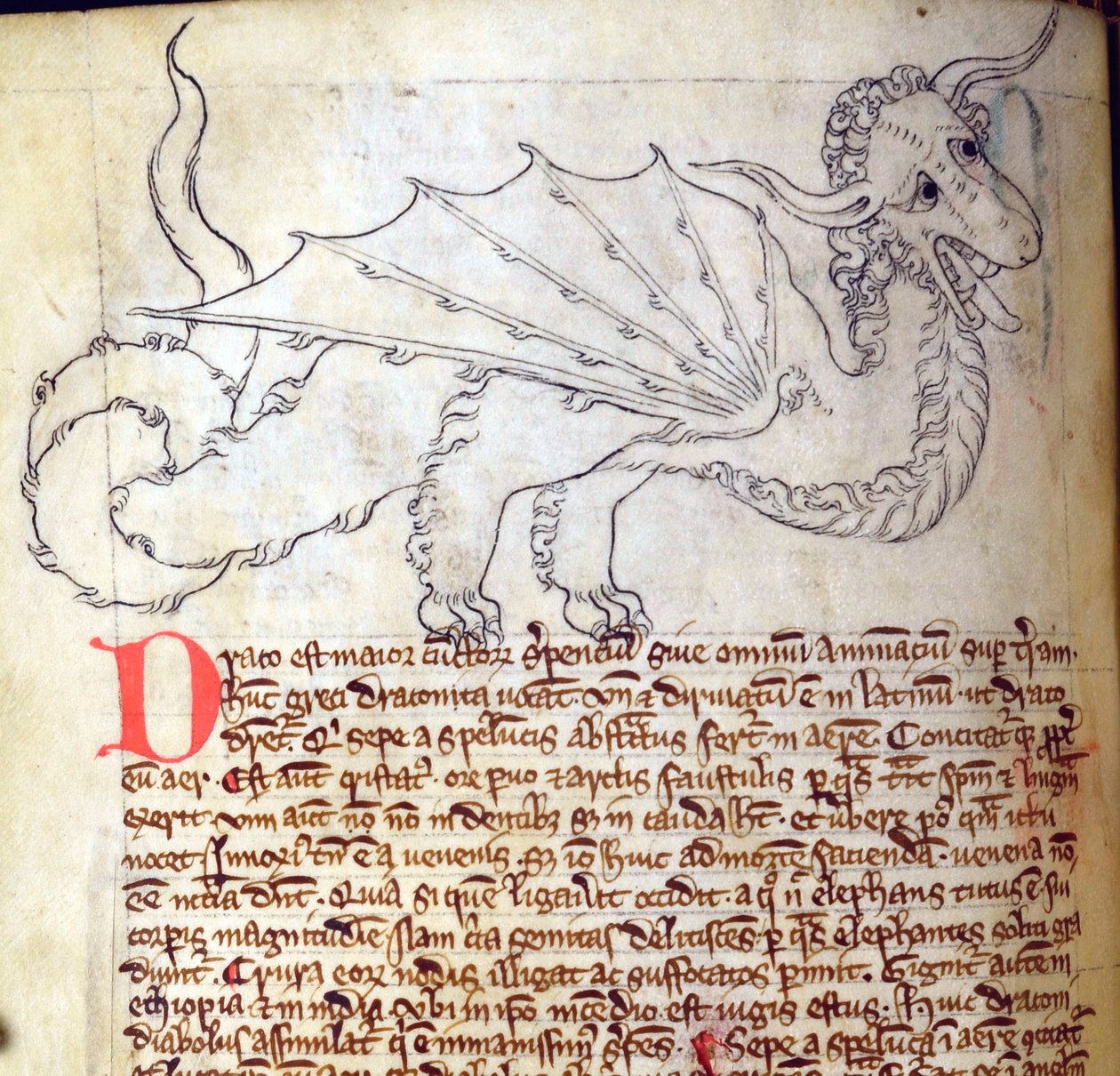 CCA-LitMs/D/10 fol. 24v Dragon, fra Bestiary av English School