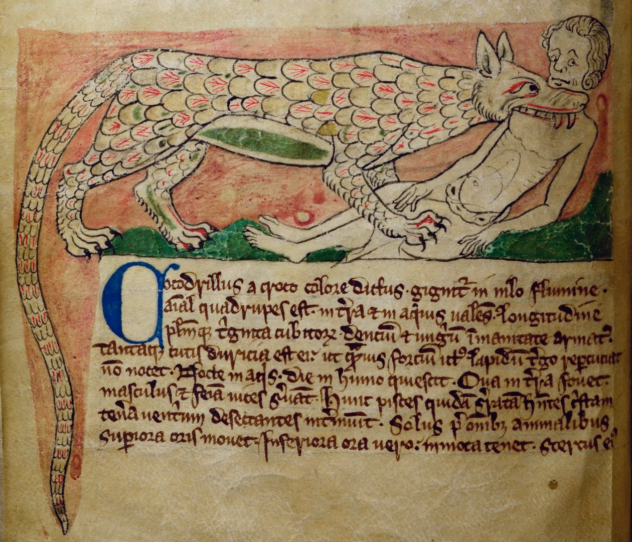 CCA-LitMs/D/10 fol. 3v Crocodile, fra Bestiary av English School