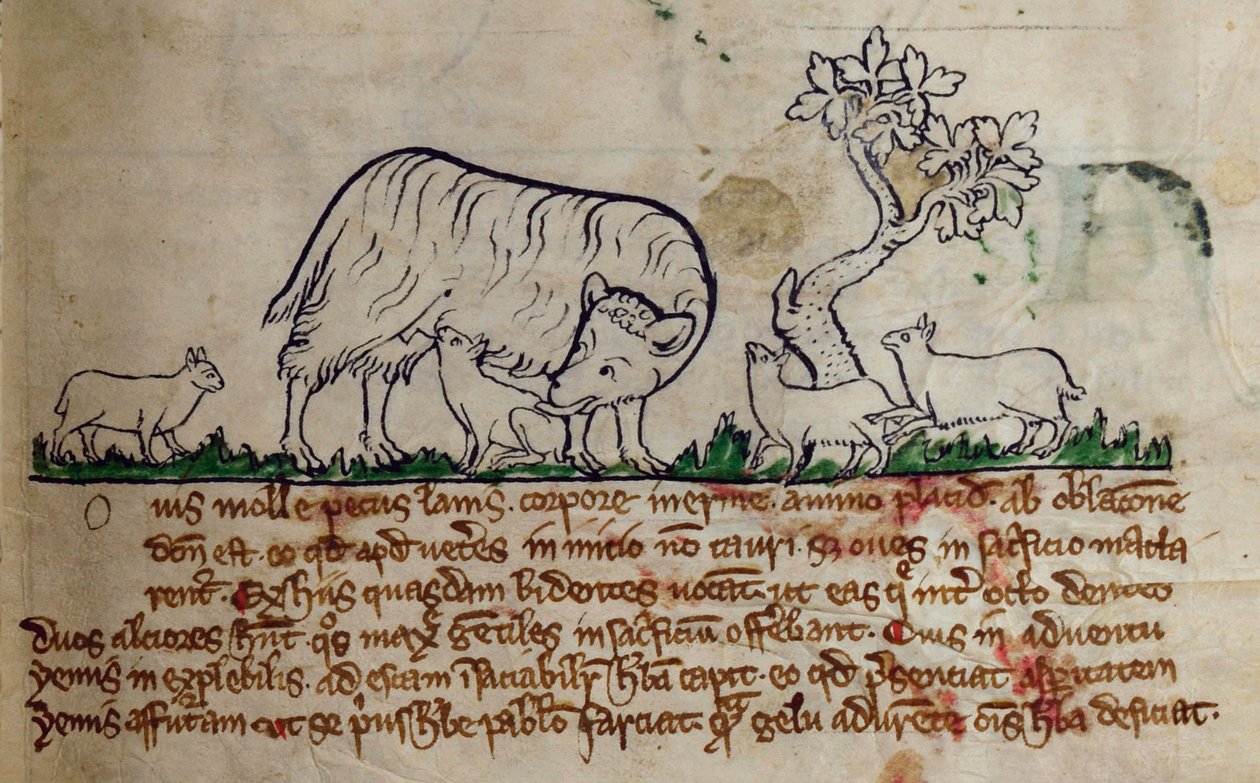 CCA-LitMs/D/10 fol. 8r Sau, fra Bestiary av English School