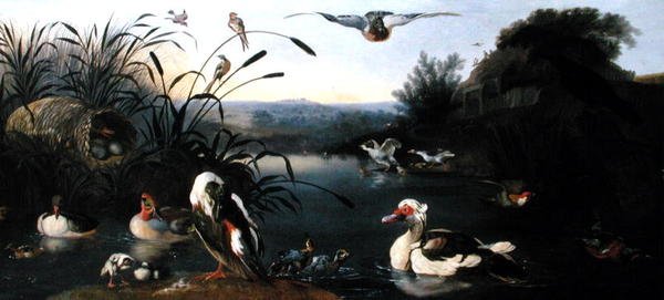 Ducks on a Pond (olje på lerret) av English School