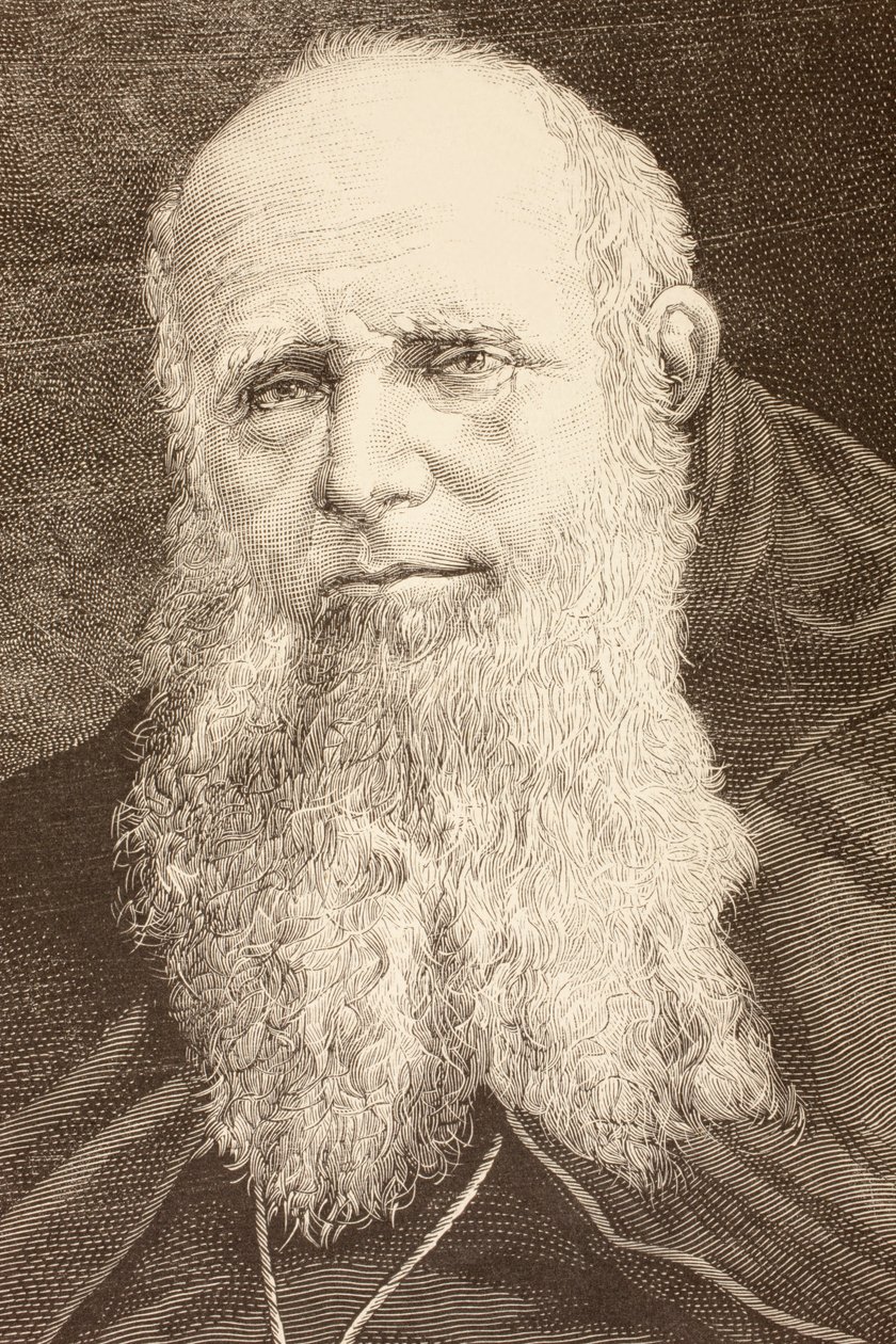 Guglielmo Massaia (litho) av English School