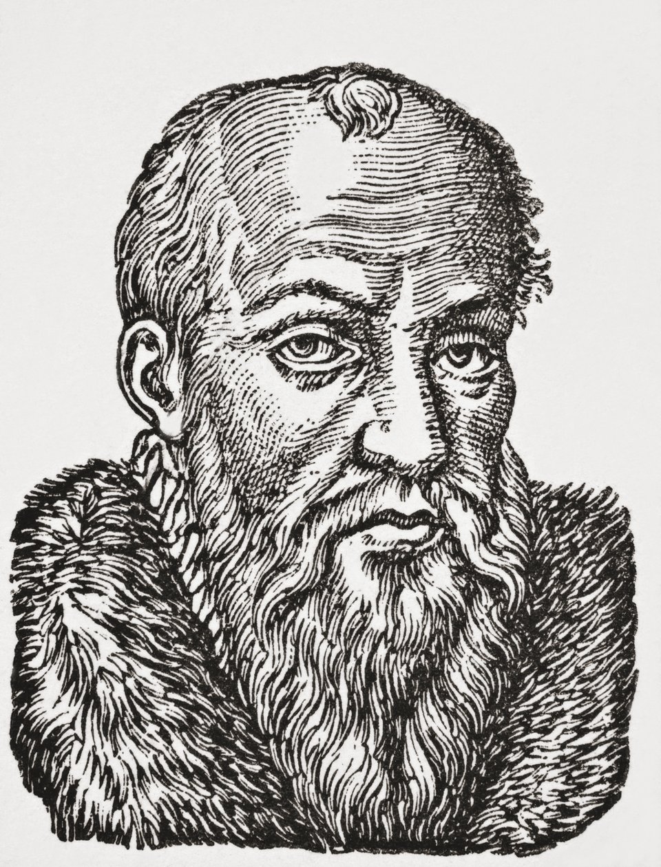 Jacques de Cujas, 1878 (litho) av English School