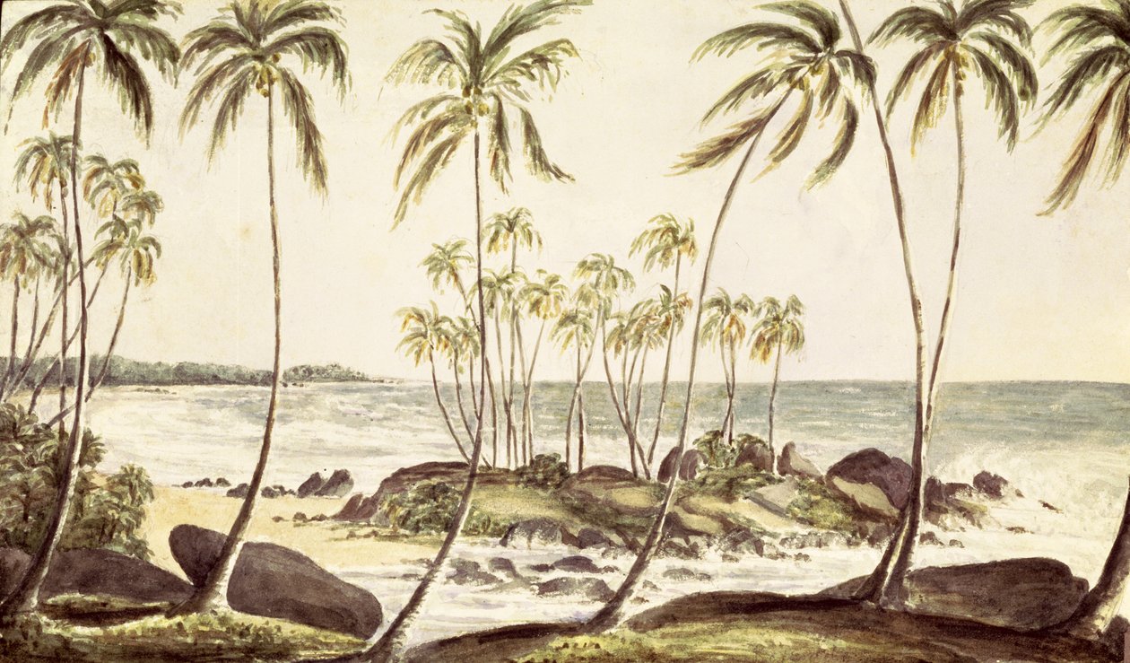 Kosgoda Beach, Ceylon, ca. 1835 (wc på papir) av English School