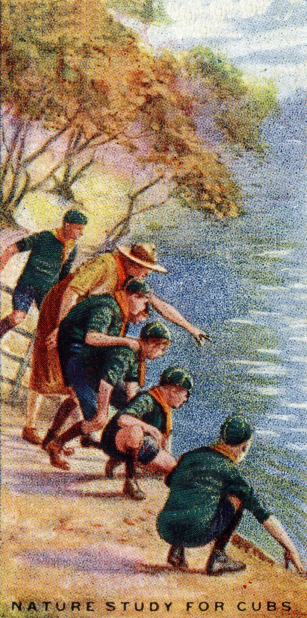 Naturstudie for unger, 1929 av English School