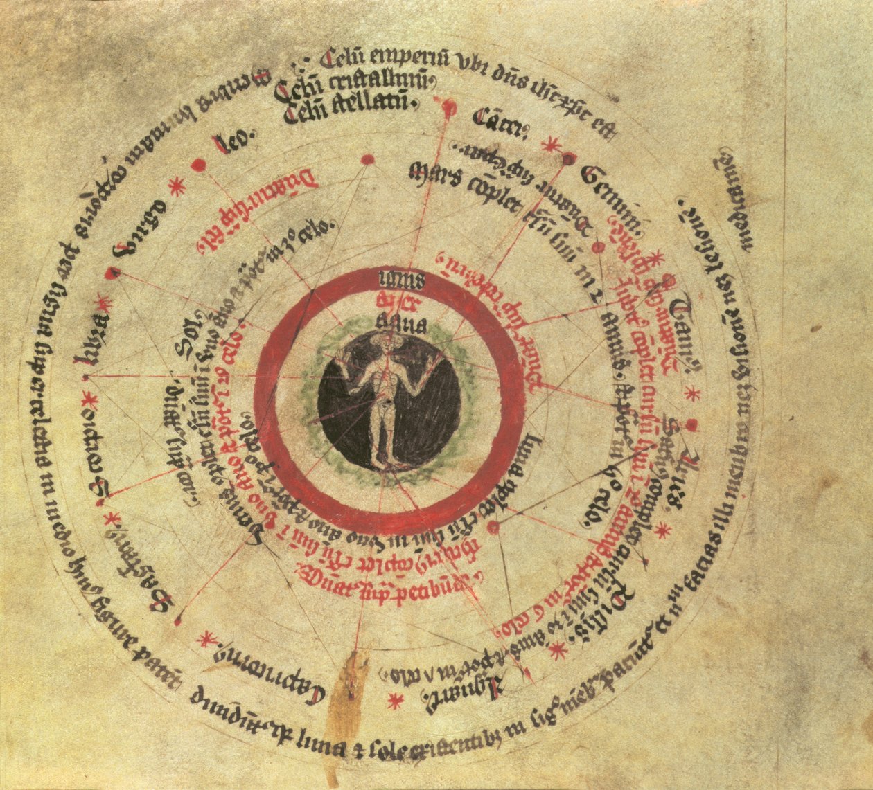 Sloane MS 282 fol.18 Mikrokosmisk mann (vellum) av English School
