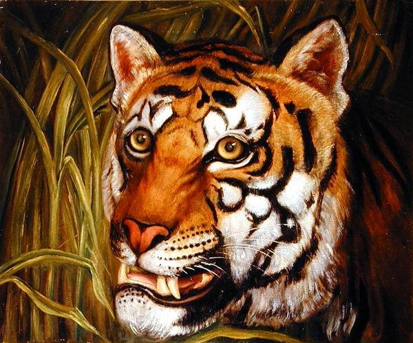 Tiger, tiger som brenner... (olje på lerret) av English School