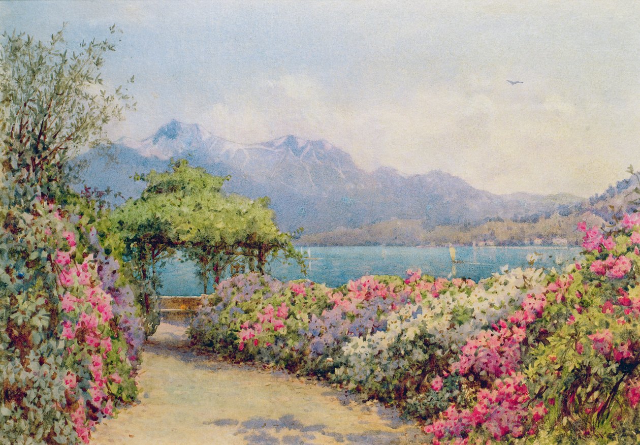 Comosjøen fra Villa Carlotta av Ernest Arthur Rowe