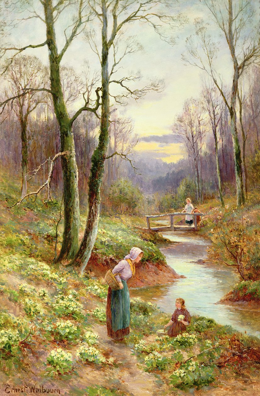 Plukke primula ved bekken av Ernest Walbourn