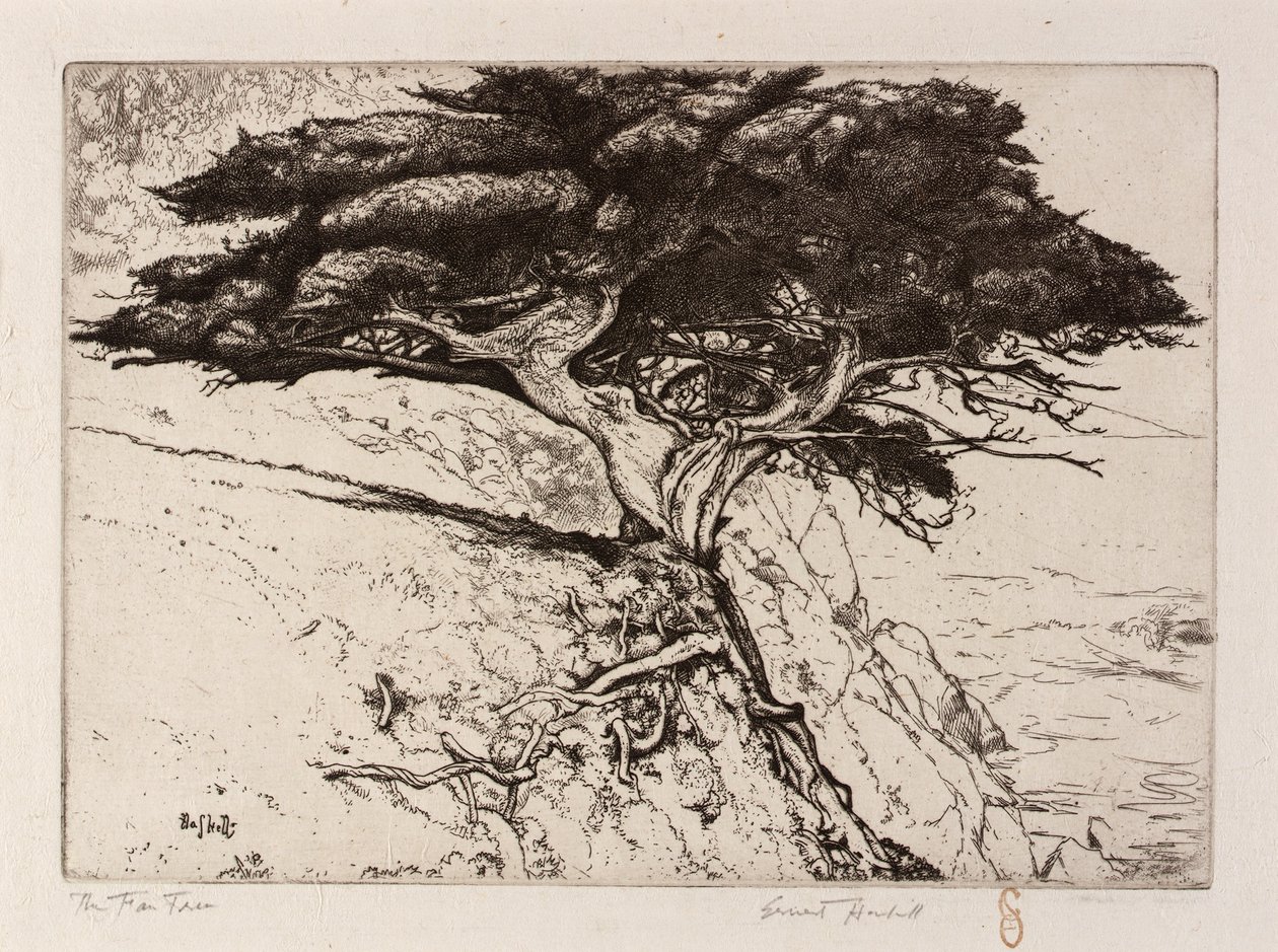  av Ernest Haskell