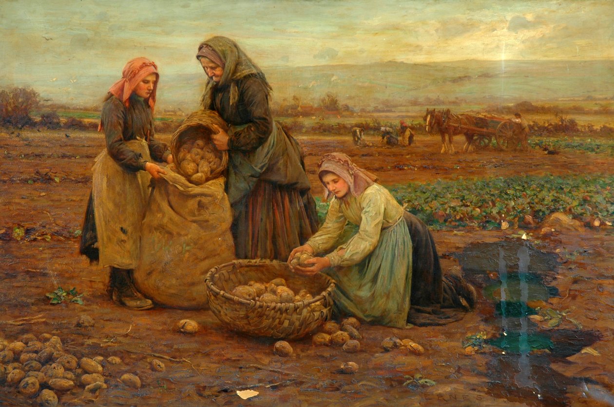 Potetplukkerne (olje på lerret) av Ernest Higgins Rigg