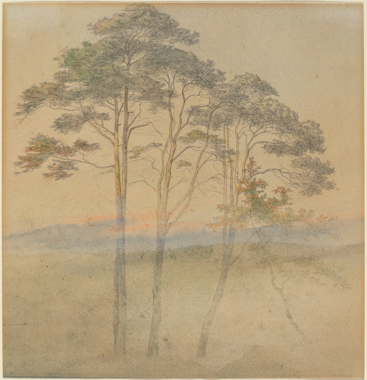 Furu i en morgentåke av Ernst Ferdinand Oehme