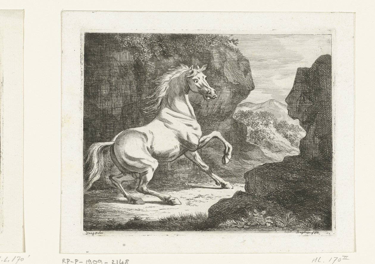 Sprett hvit hingst av Ernst Willem Jan Bagelaar