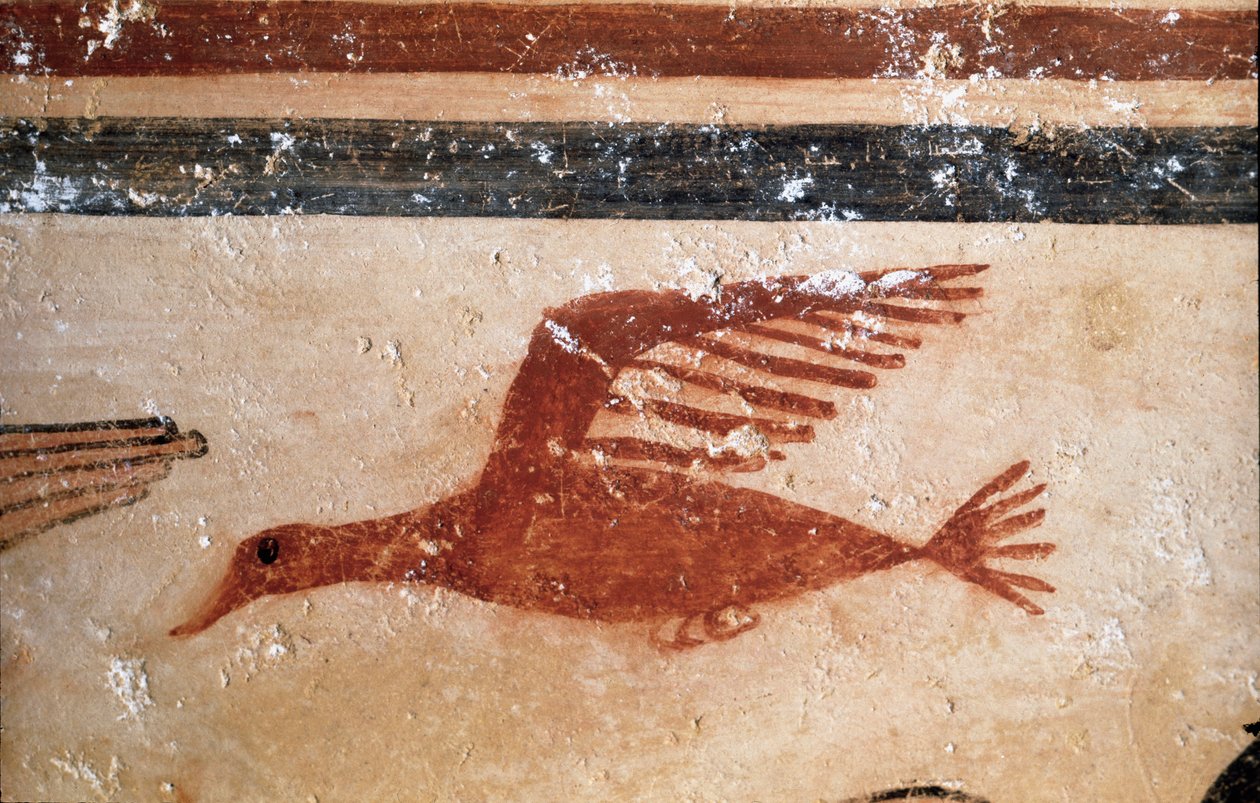 En fugl. (Detalj av freskomaleri, 530 f.Kr.) av Etruscan