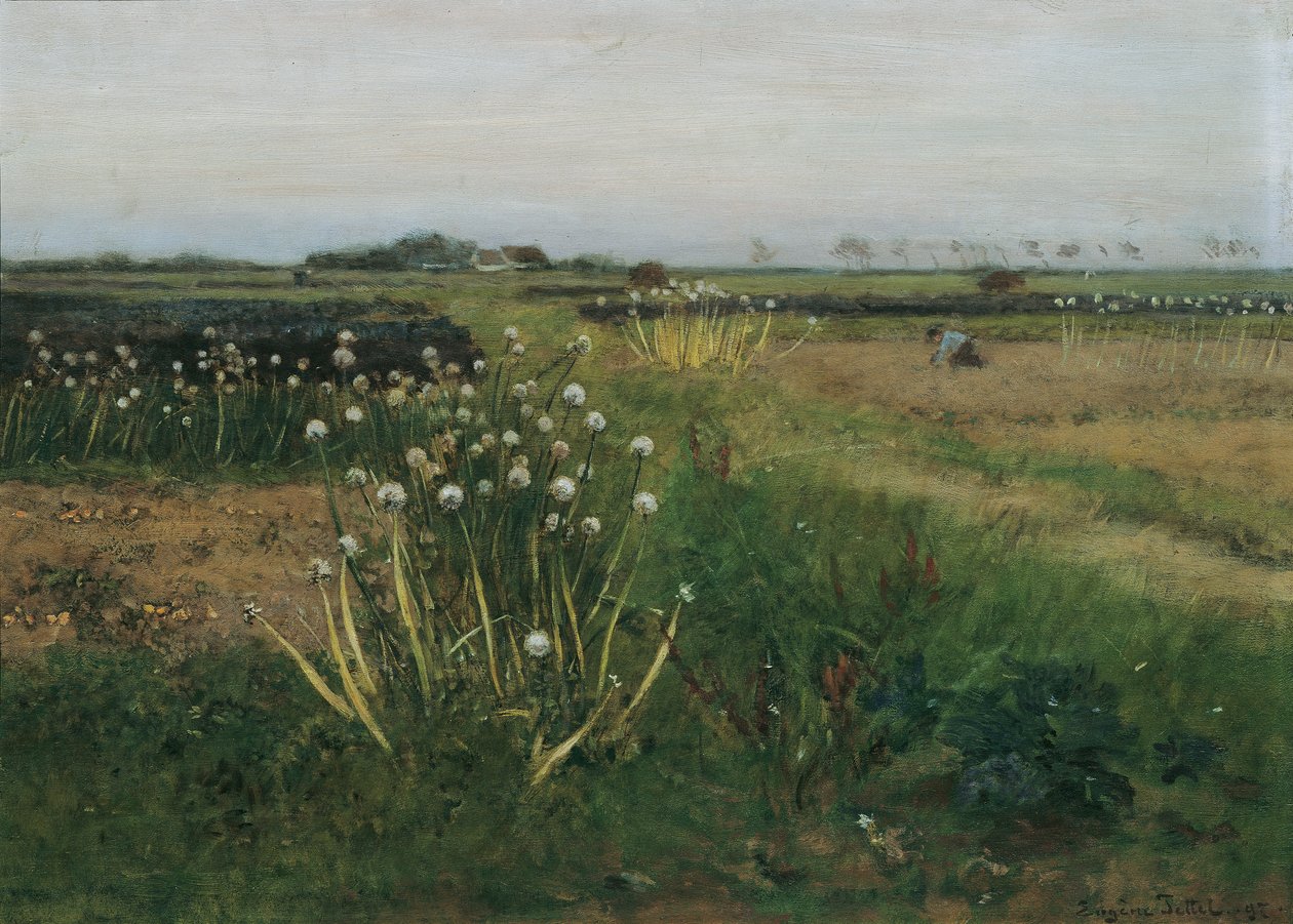 Blomstrende løkfelt av Eugen Jettel