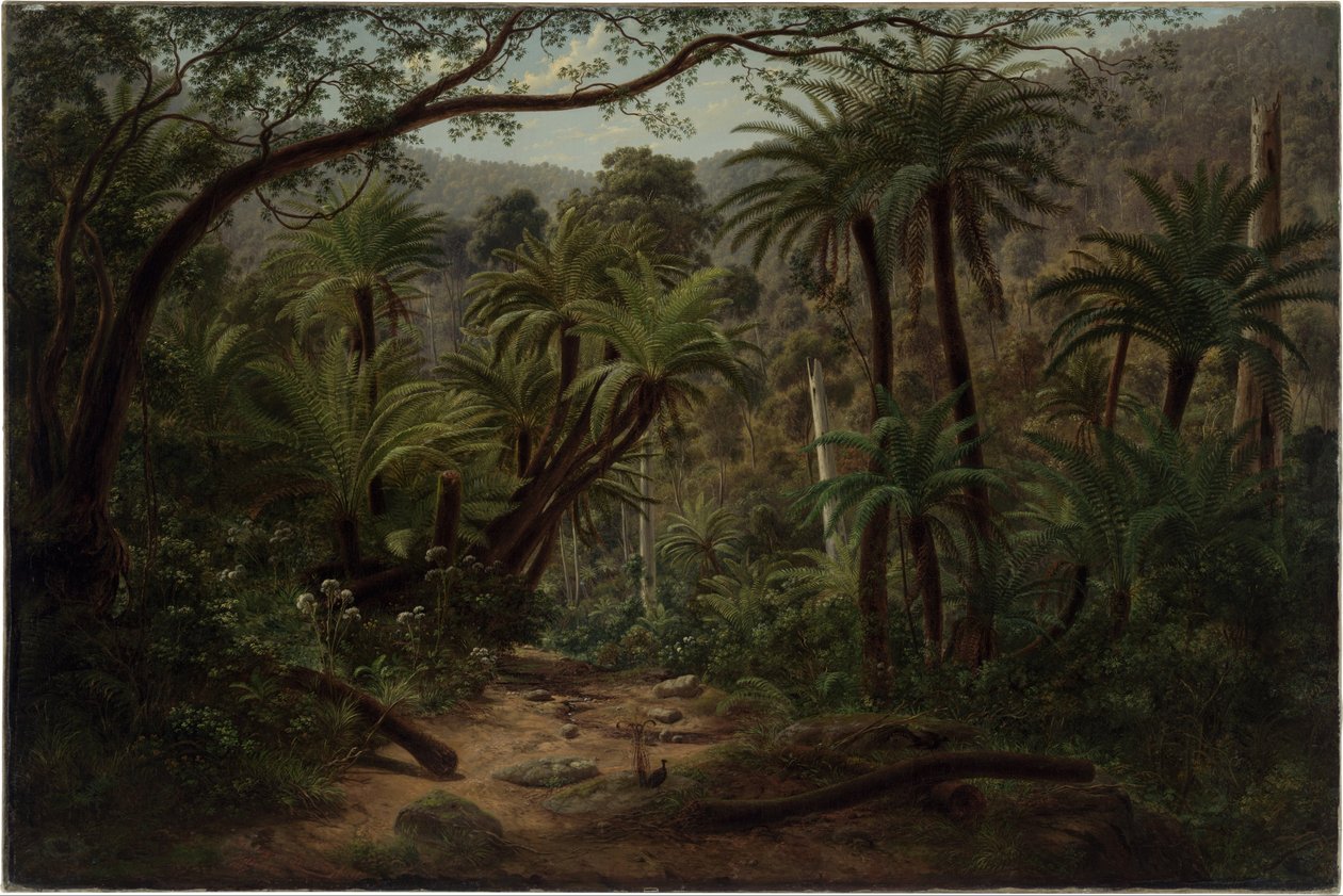 Ferntree Gully i Dandenong Ranges av Eugene von Guérard