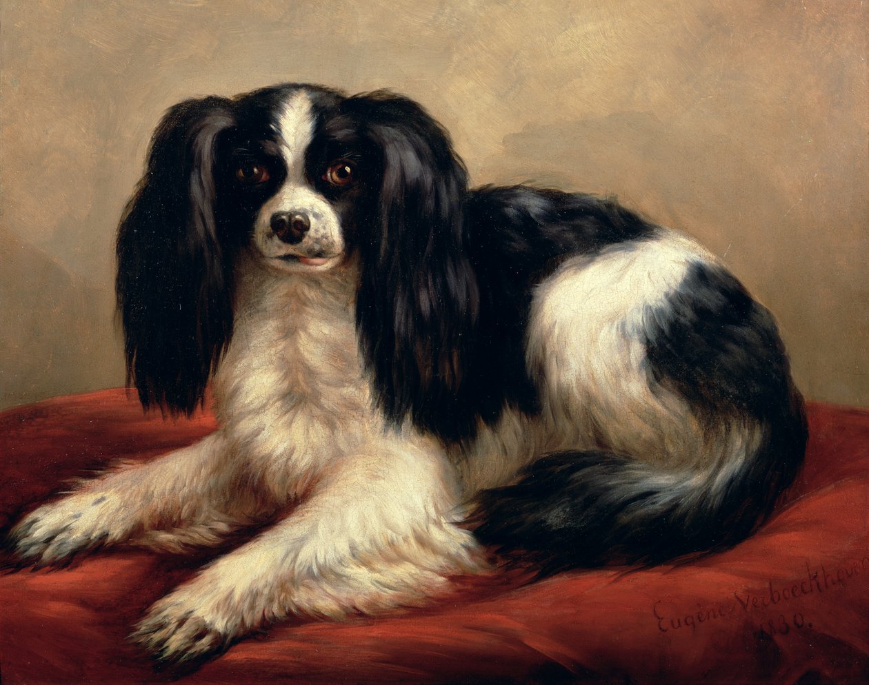 En King Charles Spaniel sitter på en rød pute av Eugene Joseph Verboeckhoven
