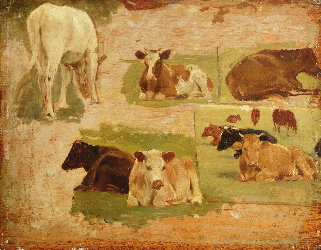 Study of Cows, c.1860 av Eugene Louis Boudin
