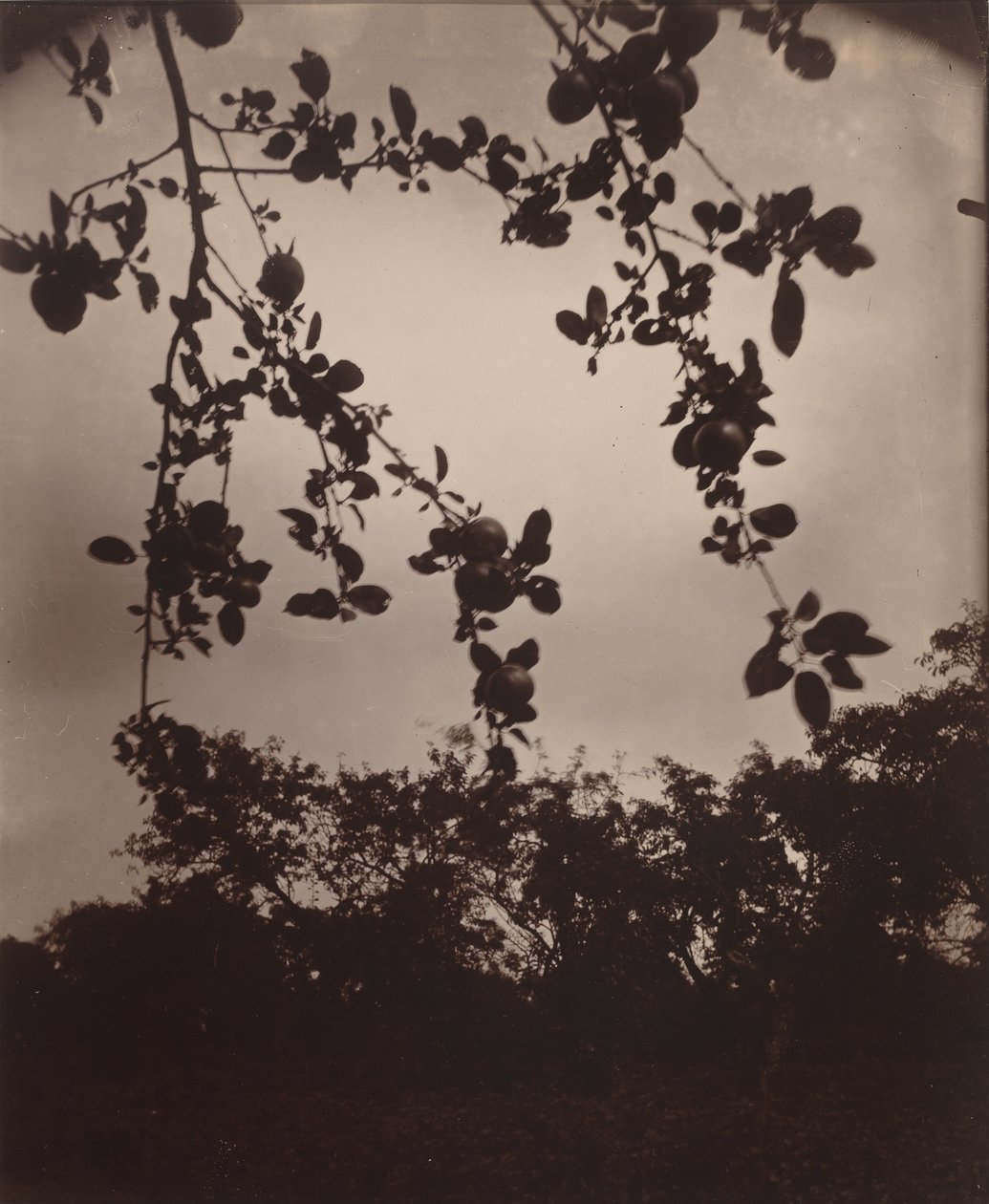  av Eugène Atget