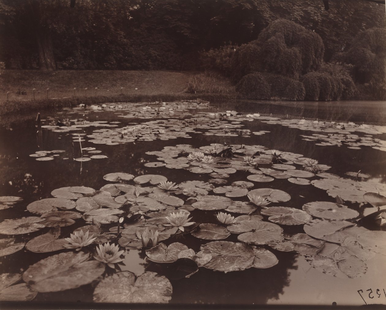  av Eugène Atget