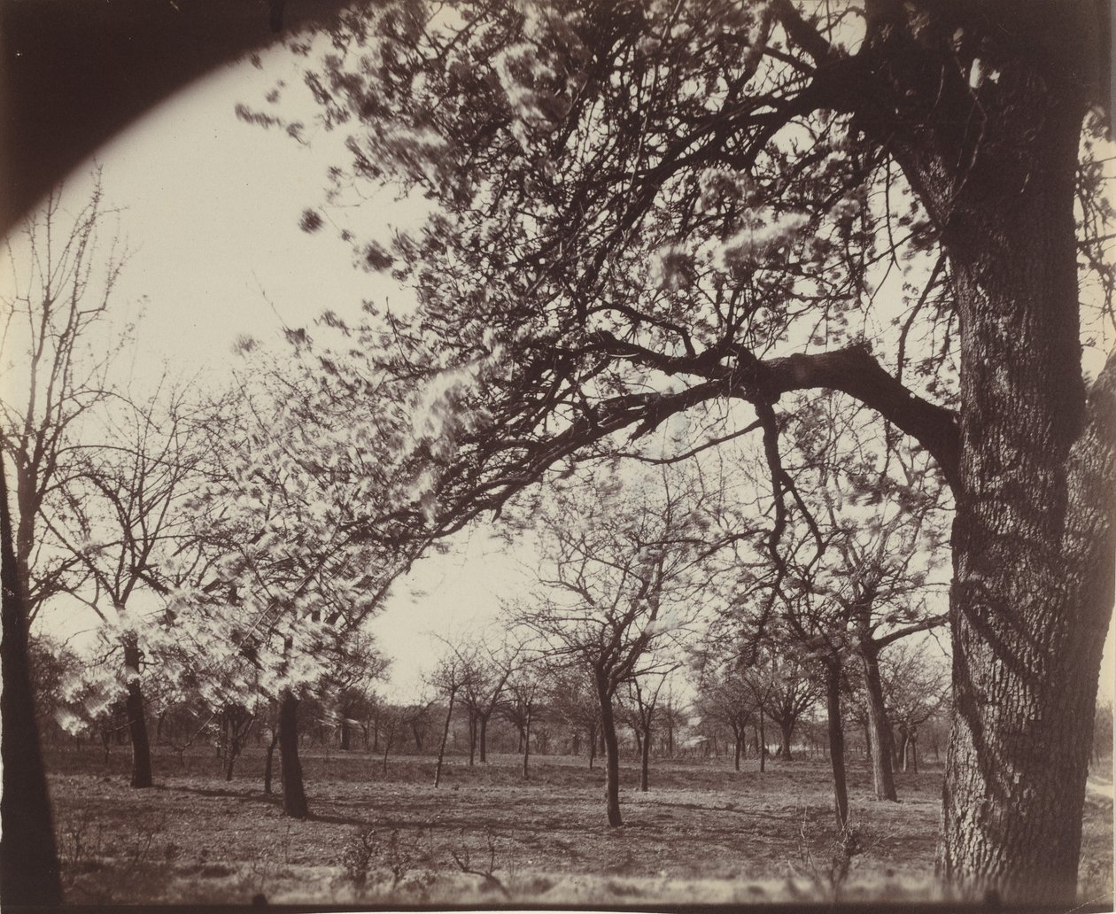  av Eugène Atget