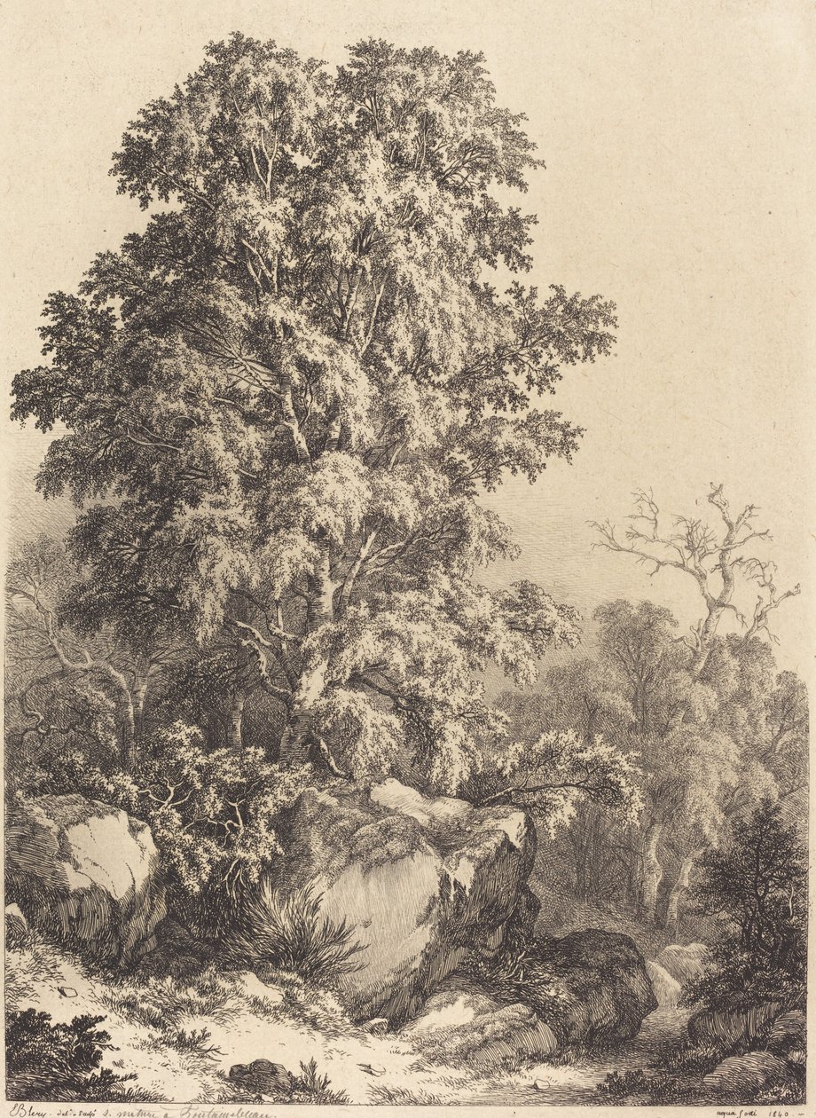 Beech Grove, 1840. av Eugene Bléry