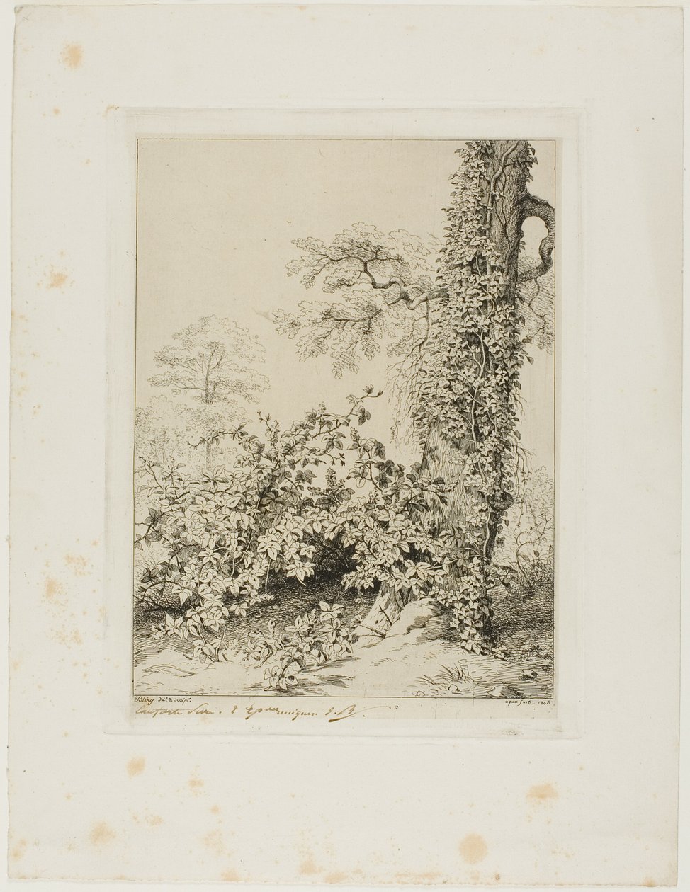 Bramble og Ivy av Eugene Bléry