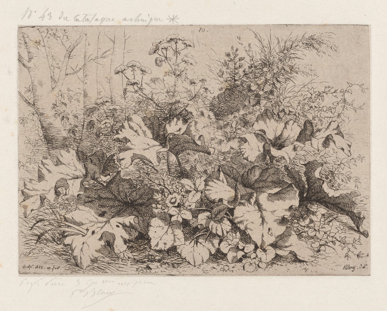 Burdock in Bloom, 1858. av Eugene Bléry