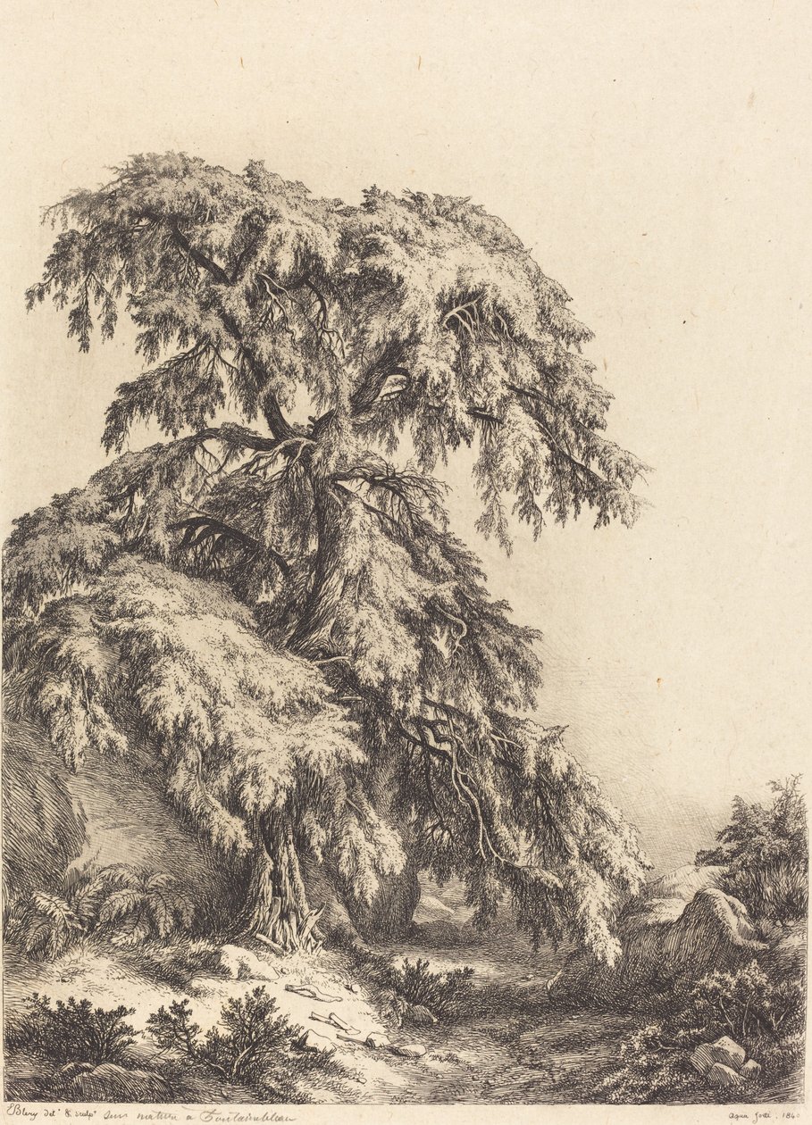 Juniper Tree, 1840. av Eugene Bléry