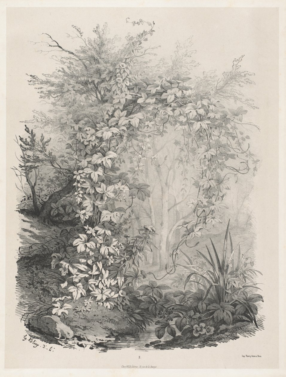 Planter og efeu ved en bekk av Eugene Bléry