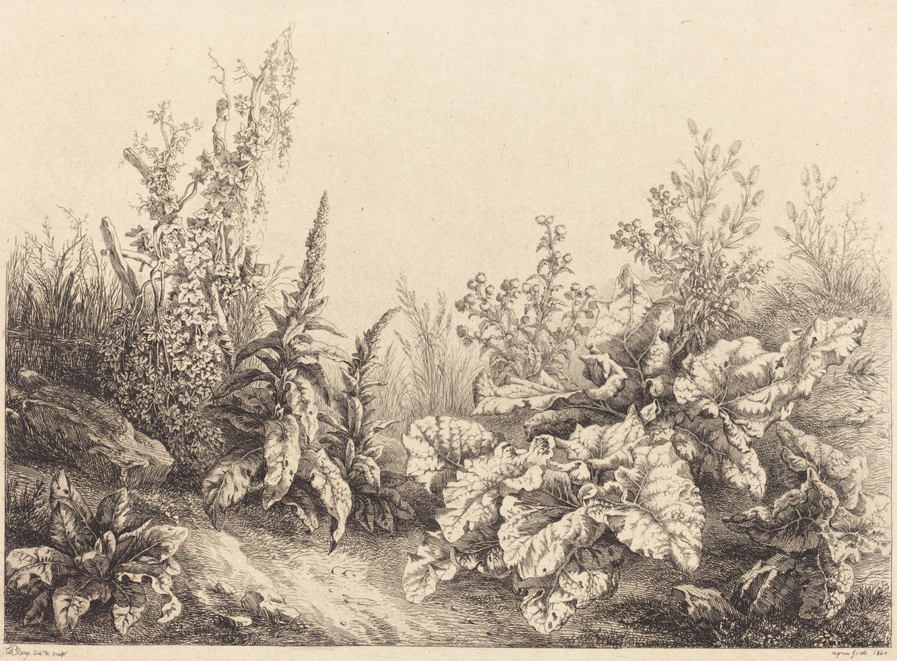 Studie av en burdock, 1840. av Eugene Bléry