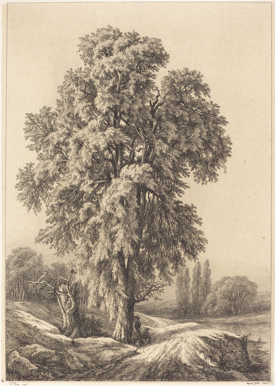 Elmtreet, 1840. av Eugene Bléry