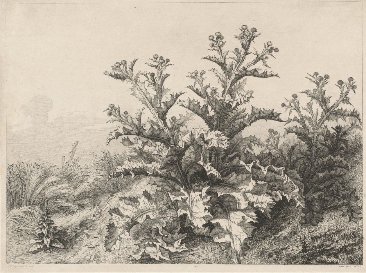 The Great Thistle (Le Grand Chardon) av Eugene Bléry