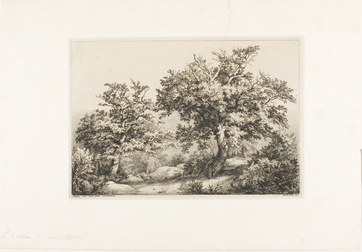 The Two Oaks, Fontainebleau av Eugene Bléry
