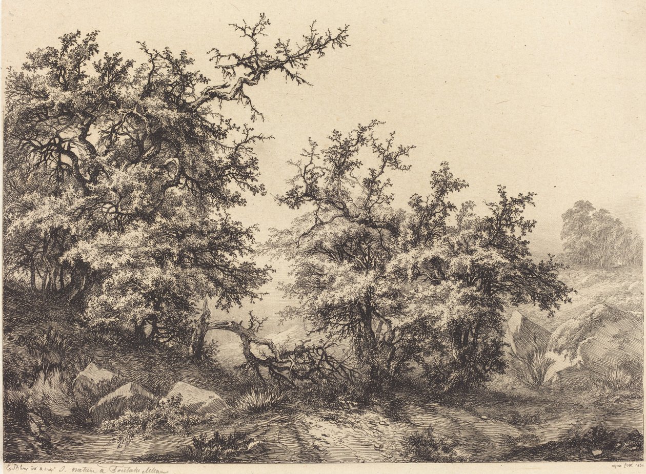 Tornbusker, 1840. av Eugene Bléry