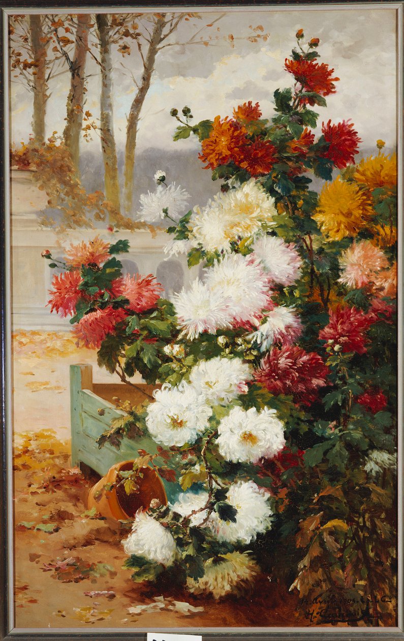 Krysantemum i en inngjerdet hage av Eugene Henri Cauchois
