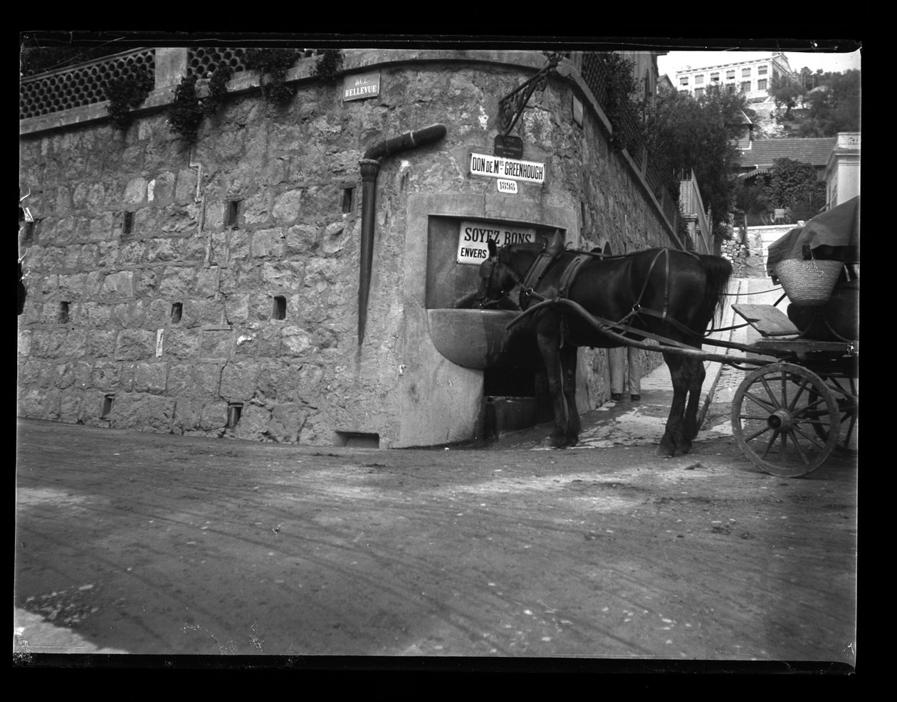 Monte Carlo av Eugène Trutat