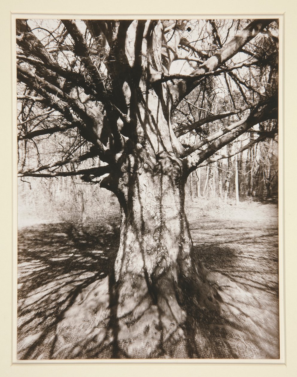 Bøk av Eugène Atget