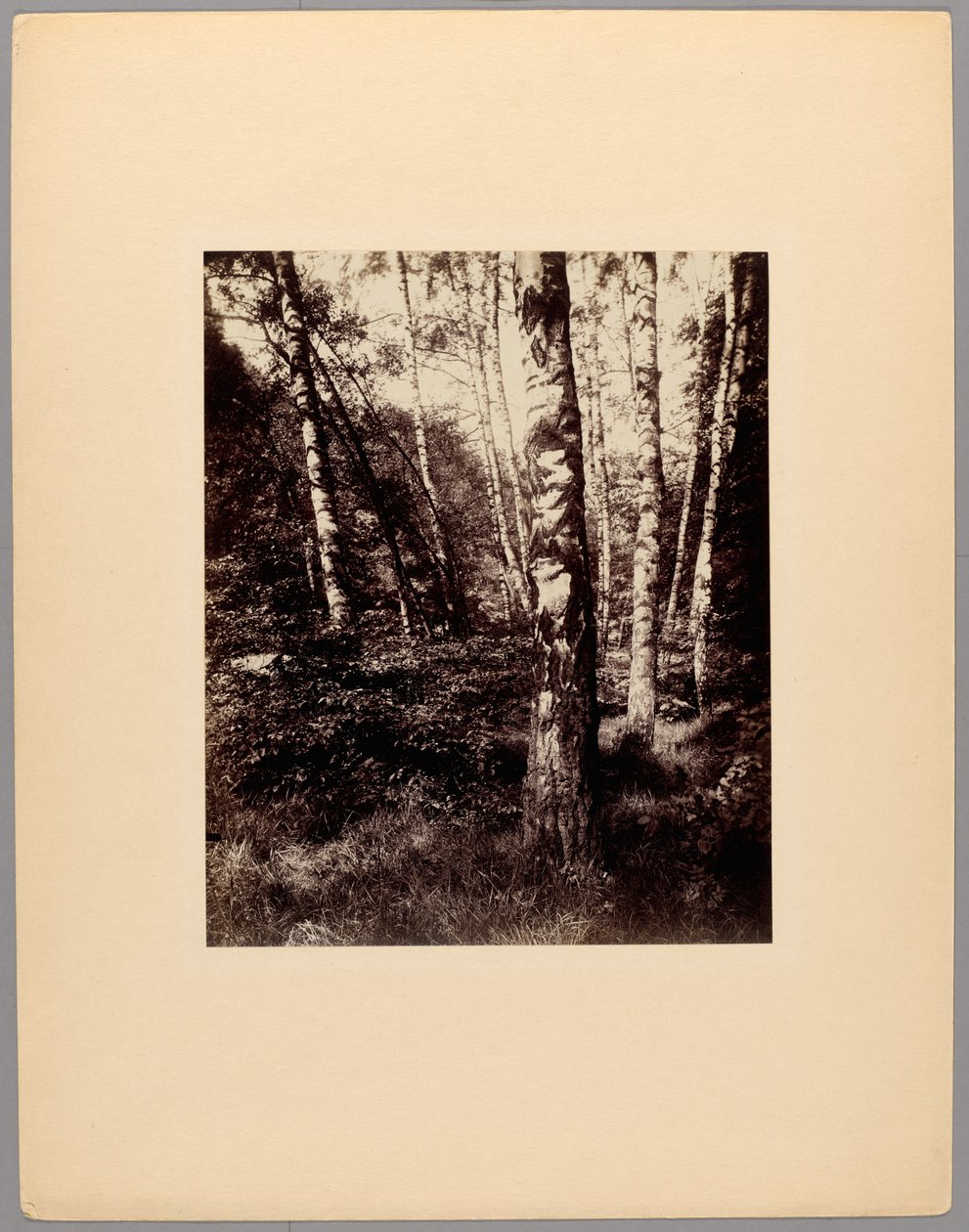  av Eugène Atget