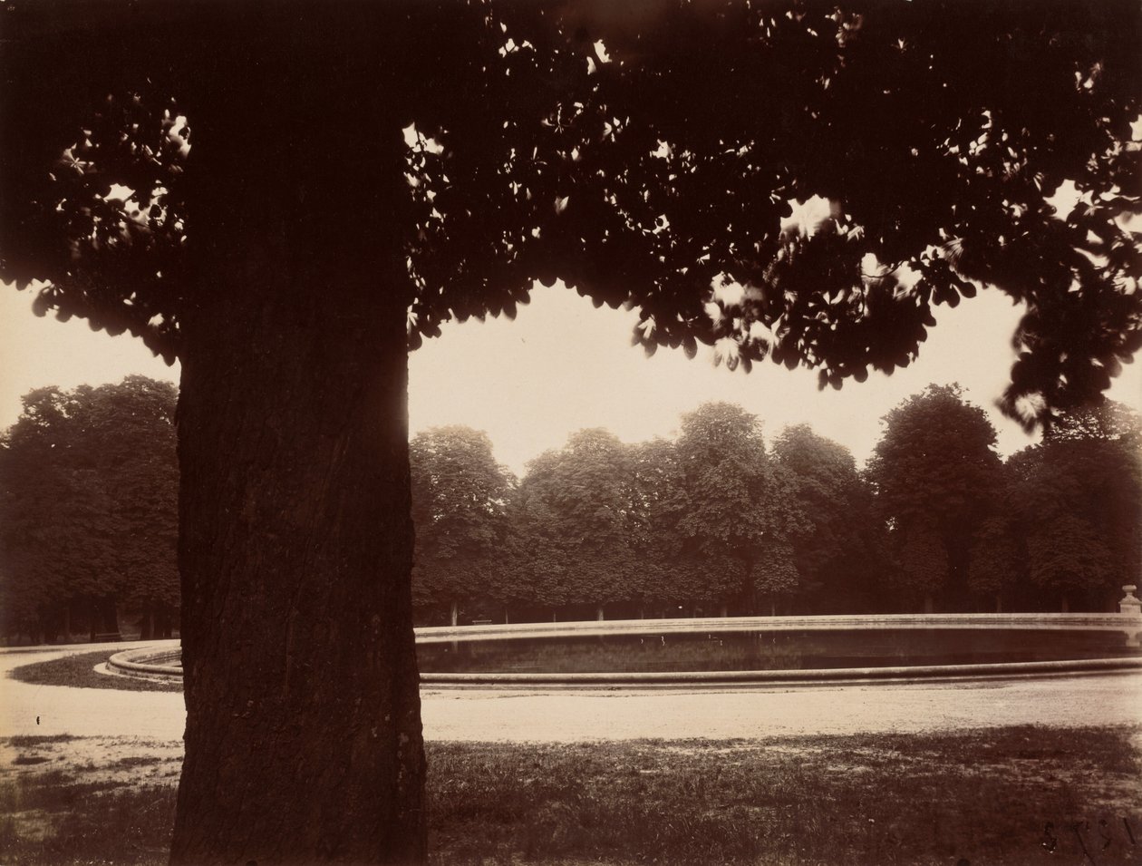 Saint-Cloud av Eugène Atget