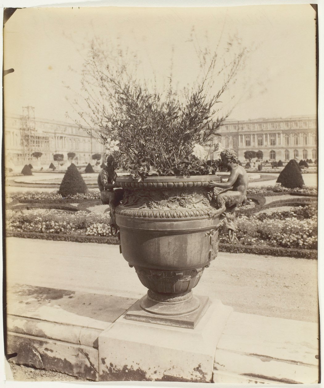 Versailles, Vase av Ballin, 1902. av Eugène Atget