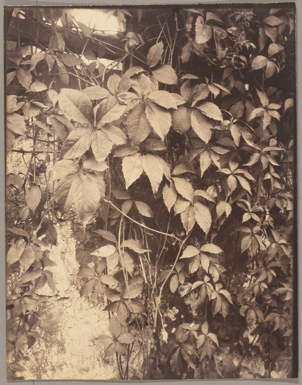  av Eugène Atget